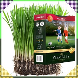 Premium Trawa sportowa sportowa boiskowa WEMBLEY 1kg 40m trawnik sportowy