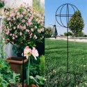 Pergola Ogrodowa Tarasowa Metalowa Podpora do Pnączy Róż Kwiatów 50x10cm Czarna