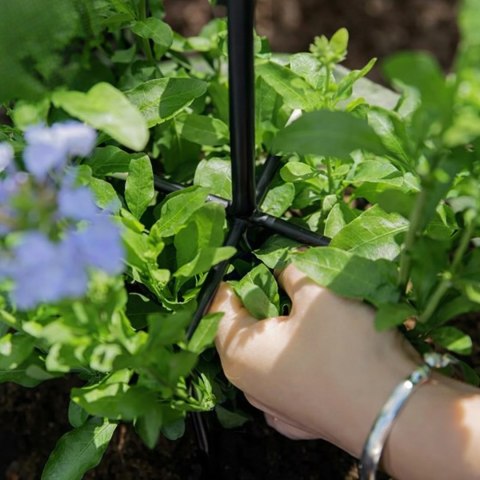Pergola Ogrodowa Tarasowa Metalowa Podpora do Pnączy Róż Kwiatów 50x10cm Czarna