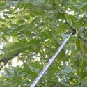 Zbierak Zbieracz Podbierak Teleskopowy Trzonek 400 cm do Owoców 4 Końcówki