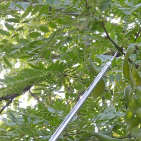 Zbierak Zbieracz Podbierak Teleskopowy Trzonek 400 cm do Owoców 4 Końcówki