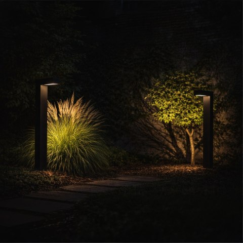 Lampa Solarna Ogrodowa LED Wbijana Słupek Czujnik Zmierzchu Ogród 55cm 2szt.