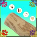 Patyk Gryzak z Drzewa Drewna Naturalny dla Psa Wytrzymały Zabawka 20x3,5cm