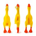 Piszcząca Duża Zabawka Gumowy Kurczak Duży dla Psa Szczeniaka Gryzak 22 cm