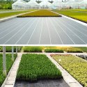 Agrowłóknina 70g 1,6m x 50m Czarna UV Agrotkanina Mata Antychwastowa