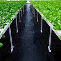 Agrowłóknina 90G 1,6x50m Czarna UV Agrotkanina Mata Antychwastowa